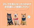 売れるコンテンツをあなたの代わりに作成します あなたは何もしなくてOK！面倒なコンテンツ作りは丸投げ イメージ9
