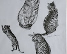 写真から手描き大切なペットや植物の画を制作します 自然で、あなたの心に寄り添う世界に一枚のアートをお届けします イメージ5