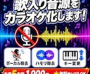 ボーカル除去・抽出・キー変更など音源編集します プロ歌手への提供実績あり◎【先着5名様】は500円引き‼️ イメージ2