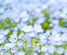 どんな話でもあなたのペースに合わせて聞きます あなたの明日が少しでも豊かになりますように。 イメージ1
