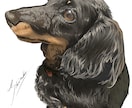 大切なペットを絵にいたします お気に入りのペットのお写真をイラストに残してみませんか？ イメージ1