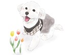 お写真を元に線画イラストを描かせていただきます 写真もいいけど、イラストでしか出せない魅力を〜 イメージ2