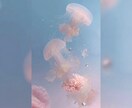 なぜか気を遣ってしまうあの人のこと＊よみ解きます 気になる本音と心地よい関わり方✧気持ちが楽になる♪ イメージ3