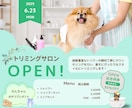 目を惹くおしゃれなWEB広告バナーをデザインします バナー／ヘッダー／SNS画像作成／広告画像作成 イメージ6