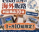 青海！eBayより稼げた海外販路と商品教えます eBayより稼げた海外販路と商品、仕入先までを教えます イメージ1