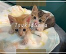 YouTube動画のサムネイル作成致します 最短1日納品♪おしゃれなサムネイル作成します♪ イメージ4