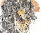 リアルなモノクロ　スタイリッシュなペット画描きます モノクロで描く、リアル×スタイリッシュなペットアート イメージ8