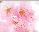 開成算数の赤本執筆者が千葉の中学受験対策をします 渋幕、市川、東邦のオンラインレッスン（小4~小6、算・理） イメージ2