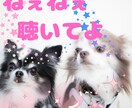 ねぇねぇ聞いて✨心がスッキリするまでお聴きします 今日こんなことがあったの✨☘聴いてくれてありがとう✨☘ イメージ1