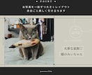 シックでキラキラなプロフィールムービー作ります お急ぎ納品対応◎ 写真枚数・修正無制限！DVD化無料対応 イメージ5