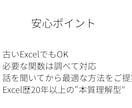 業務改善 × Excelツール設計します 関数のみで自動化・効率化【マクロ不使用／古いExcelOK】 イメージ4