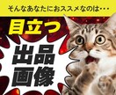 目を引くココナラの出品画像の制作を行います 思わずクリックしたくなるココナラの出品画像を制作します イメージ3