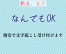動画、音声なんでも対応！文字起こしします お財布の味方！！格安でやります⭐️ イメージ1