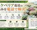 現役農家がエケベリア栽培の悩みを電話で解決します 現役生産者が夏越し・根腐れ・徒長の悩みを電話で解決します イメージ1