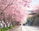 あなたの夢、野望を教えて下さい。全部お聞きします 人に言うのは恥ずかしいでも言いたい！そんなあなたを応援します イメージ10