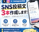 SNS投稿用の文章を作成します XやInstagram向けの投稿文を3本作成します イメージ1