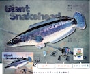 デジタル魚拓：リアル/墨/カラー/水彩から選べます 手刷り魚拓のような風合いで、一味違うデザインをお求めの方へ イメージ6