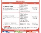事業再構築補助金となった採択事業計画書を公開します 新事業進出補助金の参考資料となる事業再構築補助金の採択計画書 イメージ2