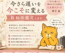 今さら遅いを今こそに変える数秘術鑑定します 「今さら遅い」と諦めかけた女性の人生再スタート鑑定 イメージ1