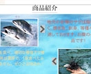 WEBサイトのご相談請負いたします WEBサイトに関するお悩み等をヒアリングし、改善いたします！ イメージ6