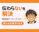 魅力を伝える商品紹介文とキャッチコピーを作成します 500文字まで追加なし！伝わる言葉で、商品の魅力を最大限に。 イメージ1