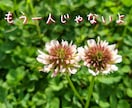 つらい時＊孤独不安恐怖トラウマお話お聴きいたします まず心の傷をやわらげましょう✤あなたのお話真剣にお伺いします イメージ2