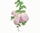 植物のワンカットイラスト描きます 綺麗でおしゃれな植物をあなたのために作成します！ イメージ6