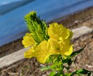 お話しお聞きします 直感カウンセラー。人生を変える気づきが欲しいあなた様へ。 イメージ7