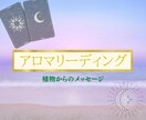 アロマカードで、今あなたに必要なメッセージ送ります 自然の恵みがあなたをサポートします イメージ1