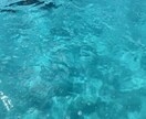 何を想っても大丈夫、ゆるまる時間一緒に過ごします 安心安全の場で、あなたのしんどさ、ここでそっと解きほぐせます イメージ1