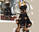 カスタマイズペット写真キャラクターデザインます 手描きペットアイコンq版漫画写実肖像絵画カスタマイズ イメージ9