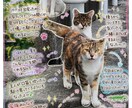 私のペットが伝えたい気持ち・言葉をお伝えします ♡あなたにだけ伝えたい、あの子の本音を届けます♡鑑定書納品付 イメージ7