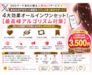 Xいいね・インプ・RP・ブクマまとめて増やします バラ買いより1,000円お得な欲張りセットが登場です☆ イメージ1