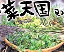 男前な手描きYouTubeサムネイル製作いたします 渋めで男前サムネから居酒屋メニュー風など！東出昌大さん風も♪ イメージ7