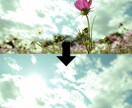 画像加工！どんなものでも消します 不要に感じる部分を納得いくまでやらせていただきます！ イメージ1