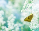 死別当事者☘誰にも言えない気持ちを安心して話せます 大切な人を亡くされた悲しみや苦しみを一人で抱えていませんか？ イメージ9