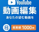 YoutubeやSNS全般》動画編集いたします ヒアリングからあなたの望む動画を イメージ1