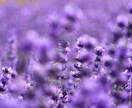あなたによりそう写真を提供します 儚い、ふわふわ系統が得意です！ご希望にあった物を提供します！ イメージ3