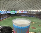 プロ野球観戦の一択プラン作成します そのまま動けばOKな観戦プラン イメージ3