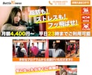 お気に入りのLPを低価格で制作いたします コミコミ料金で作れる！初心者の方でも安心 イメージ2