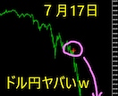 裁量いらず！ﾄﾚﾝﾄﾞﾌｫﾛｰ矢印！動画あります ｵﾘｼﾞﾅﾙ！ﾄﾚﾝﾄﾞﾌｫﾛｰの味方！すごい勝率は動画にて イメージ1