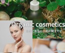 最新のファッションをオシャレに表示ます お客様を虜にしようではないですか！ イメージ2