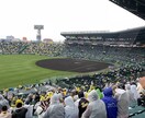 甲子園を目指す真剣な野球少年に心を込めて指導します 今を大事に！一緒に甲子園を目指そう！ イメージ1