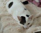 悩む方のお話を聞きに行きます お話を聞かせて貰えれば、聞き手になったり助言を考えたりします イメージ1