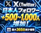 X日本人フォロワー1000人増やします Twitter日本人増加！最大で365日減少補填！振り分け可 イメージ8