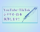 YouTubeディレクターがシナリオを執筆します 総再生回数200万回！シナリオ執筆・添削本数100本以上！ イメージ1