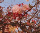 願望･心願成就のお手伝い&オラクル1枚引き致します 今の現状を変化させます 悪用厳禁！本気で現状変化を望む方のみ イメージ1