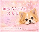 HSP♥️繊細さん♥️あなたの居場所ここにあります 家族にすら理解されない辛さ♥️私は全部わかってあげられます イメージ3