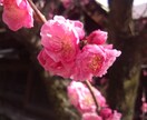 カウンセラーがあなたの気持ちに寄り添います 暇潰しでも良し！話したいことたまってませんか！？ イメージ3