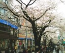 自由が丘のおすすめのお店を教えます おすすめカフェなど知りたいあなたに イメージ1